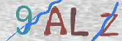 この文字を入力してください