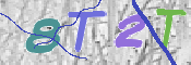 この文字を入力してください