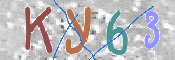 この文字を入力してください