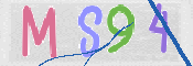 この文字を入力してください