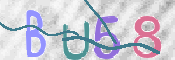 この文字を入力してください