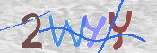 この文字を入力してください