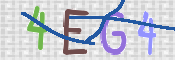 この文字を入力してください