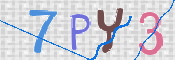 この文字を入力してください