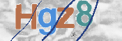 この文字を入力してください