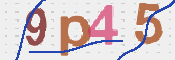 この文字を入力してください