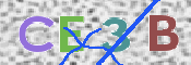 この文字を入力してください