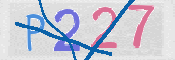 この文字を入力してください
