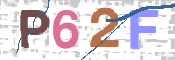 この文字を入力してください