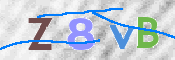 この文字を入力してください