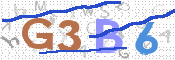 この文字を入力してください