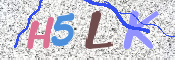 この文字を入力してください