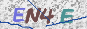 この文字を入力してください
