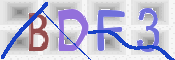 この文字を入力してください