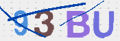 この文字を入力してください
