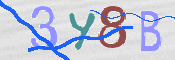この文字を入力してください