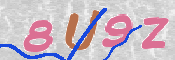 この文字を入力してください