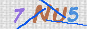 この文字を入力してください