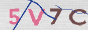 この文字を入力してください
