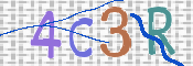 この文字を入力してください