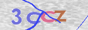 この文字を入力してください