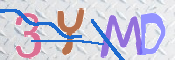 この文字を入力してください