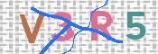 この文字を入力してください