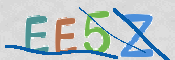 この文字を入力してください