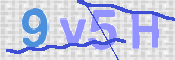 この文字を入力してください