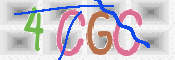この文字を入力してください