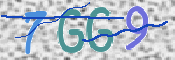 この文字を入力してください