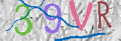 この文字を入力してください