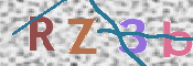 この文字を入力してください