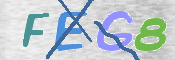 この文字を入力してください