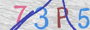 この文字を入力してください