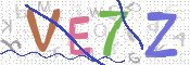 この文字を入力してください