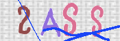 この文字を入力してください
