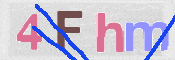 この文字を入力してください