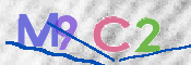 この文字を入力してください