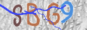 この文字を入力してください