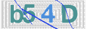 この文字を入力してください