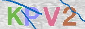 この文字を入力してください