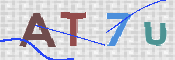 この文字を入力してください