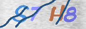 この文字を入力してください