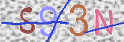この文字を入力してください