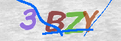この文字を入力してください