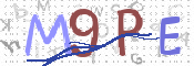 この文字を入力してください