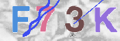 この文字を入力してください