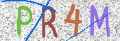 この文字を入力してください