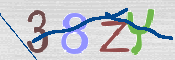 この文字を入力してください